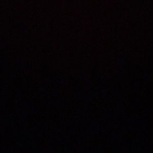 Meet your Posher, Dylan